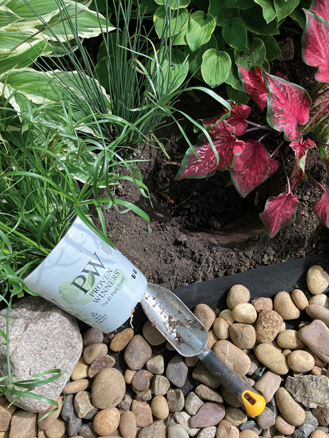 rain-garden-planting-edges