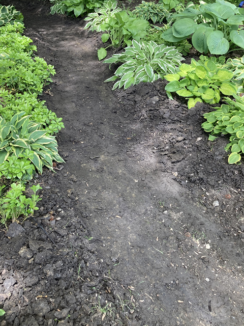 rain-garden-problem-area