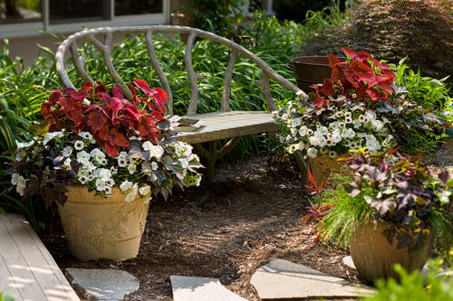 , 10 Essential Spring Gardening Tasks, Redwood Nursery &amp; Garden Center