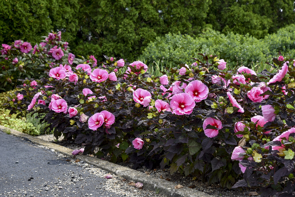 ✯ Mallow ✯ MALLOW Fabric Sectional in Grey Chenille – Mobital Group