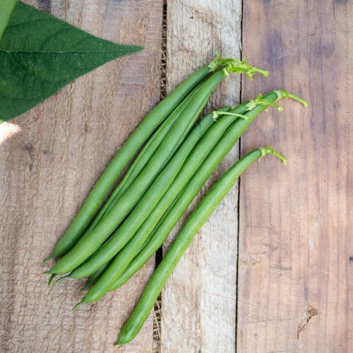 Seychelles - Green Pole Bean - Phaseolus vulgaris