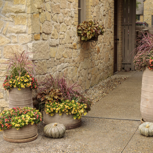 fall_plants_in_terracotta_05.jpg