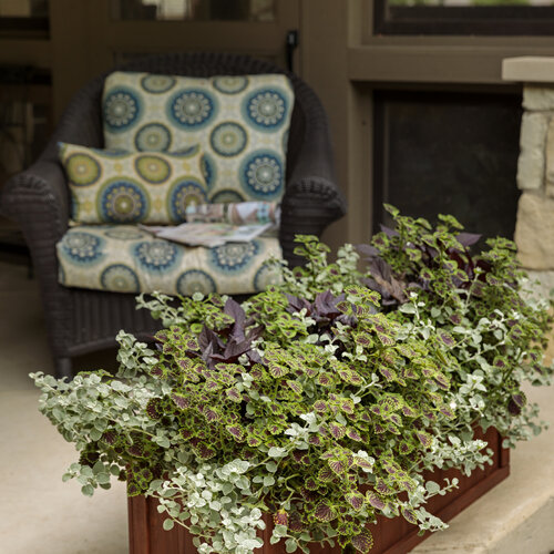 front_porch_wood_windowboxes_19.jpg