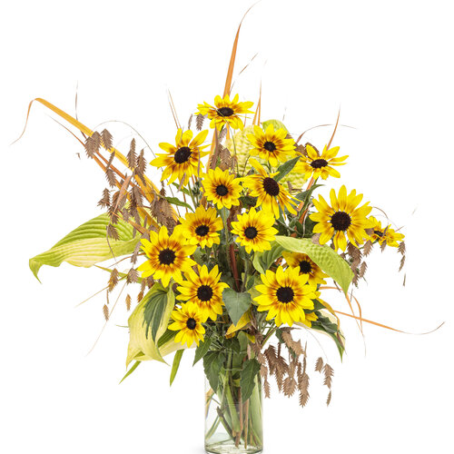 helianthus_suncredible_saturn_cut_flower_arrangement.jpg