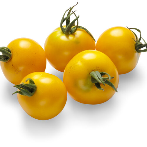 lycopersicon_tempting_tomatoes_patio_sunshine_06.jpg