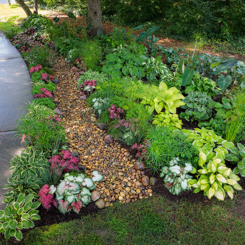 rain_garden_093.jpg