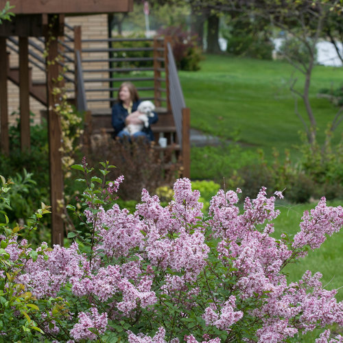 Other, Iso Lilac And Desert Sage Stanley