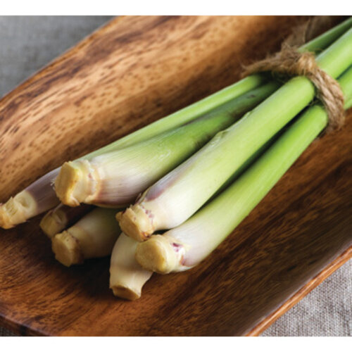 West Indian - Lemongrass - Cymbopogon citratus