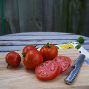 Tempting Tomatoes™ 'Garden Treasure' - Lycopersicon