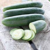 goliath cucumber on crate