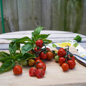 Amazel Basil® and Tempting Tomatoes® Goodhearted®