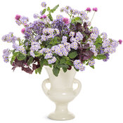 heliotropium_augusta_lavender_cut_flower_arrangement.jpg