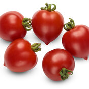 lycopersicon_tempting_tomatoes_goodhearted_macro_01.jpg