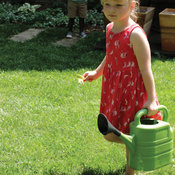 olive-watering-can.jpg