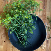 Dill on plate