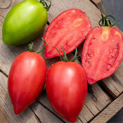 Thumbnail of Close-up: Rugby Fruit