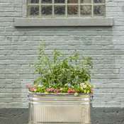 urban_containers_166.jpg