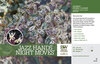 Loropetalum Night Moves® Variegated (Chinese fringe-flower) 11x7" Variety Benchc