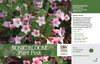 Weigela Sonic Bloom Pure Pink Benchcard