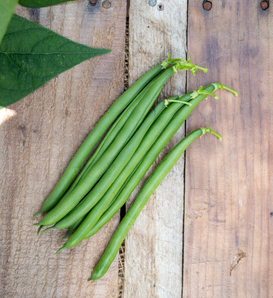 Seychelles - Green Pole Bean - Phaseolus vulgaris