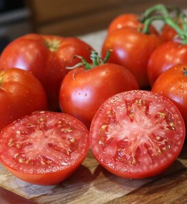 Better Boy Tomato - Slicer - Solanum lycopersicum