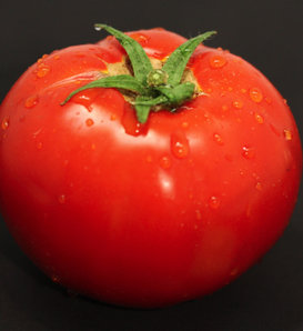 Tempting Tomatoes® 'Garden Treasure' - Solanum lycopersicum