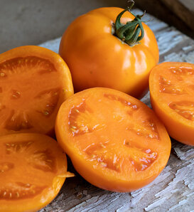 Tempting Tomatoes® High Noon® - Beefsteak Tomato - Solanum lycopersicum