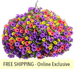 Prime Time FLOWER PILLOW®