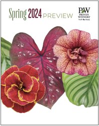 Spring 2024 Preview