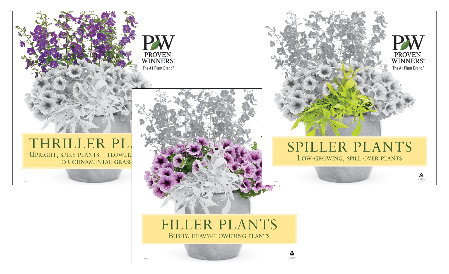 Winter Planter Ideas – Holiday Thriller Filler Spiller Arrangements