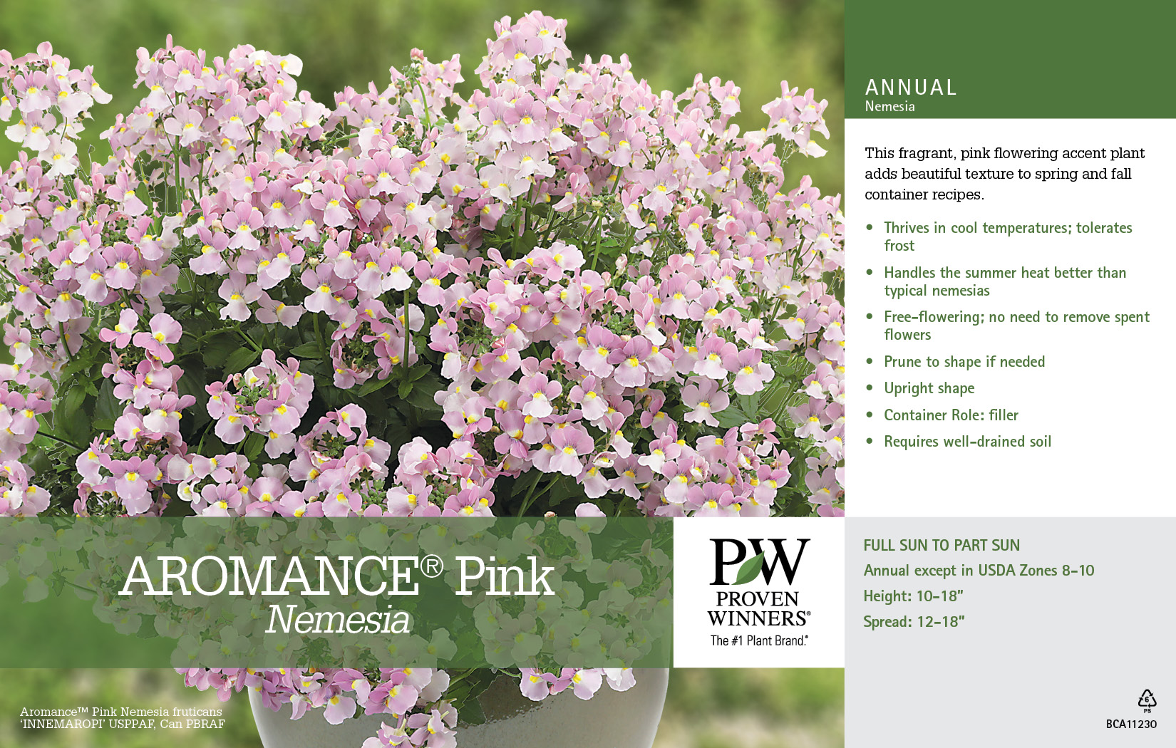 Nemesia Aromance™ Pink 11x7" Variety Benchcard Proven Winners
