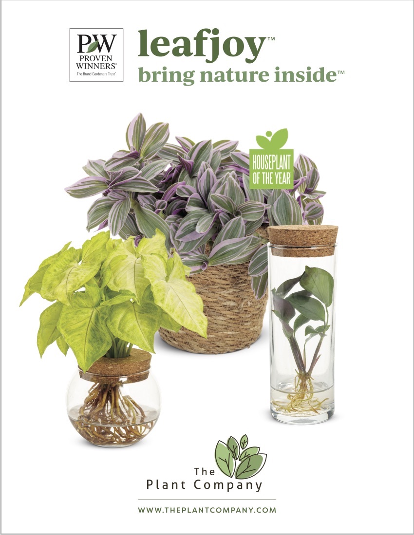 2022 Proven Winner Plants