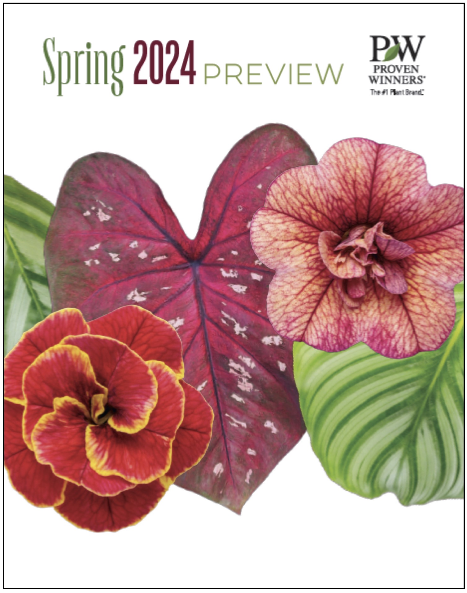 Spring 2024 Preview Proven Winners