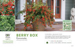 Pyracomeles Berry Box™ 11x7" Variety Benchcard