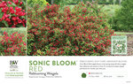 Weigela Sonic Bloom® Red (Reblooming Weigela) 11x7" Variety Benchcard