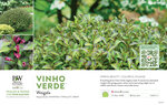 Weigela Vinho Verde™ 11x7" Variety Benchcard