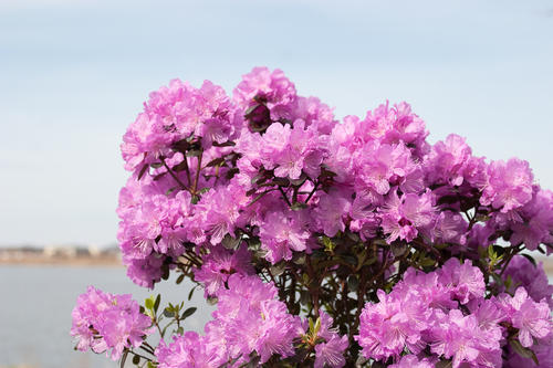 crw_3116.jpg