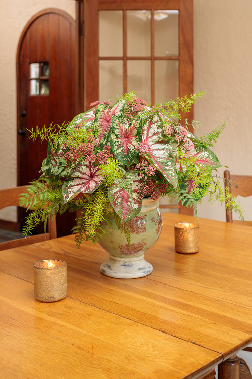 cut_caladium_combo_a_12.jpg