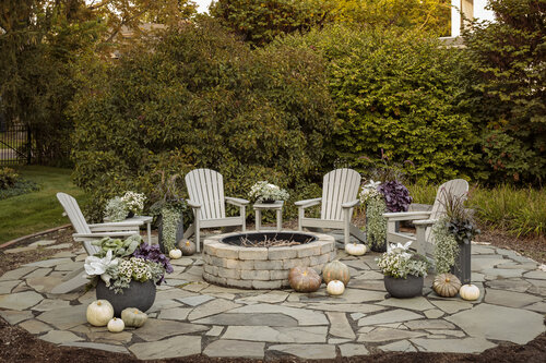 fall_scene_featuring_silver_and_purple_005.jpg