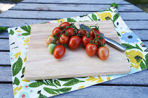 Tempting Tomatoes™ 'Garden Gem'