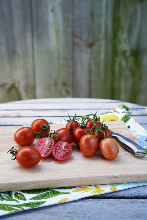 Tempting Tomatoes™ 'Garden Gem'