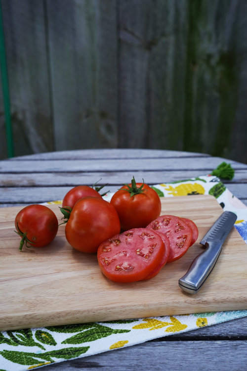 Tempting Tomatoes™ 'Garden Treasure' - Lycopersicon