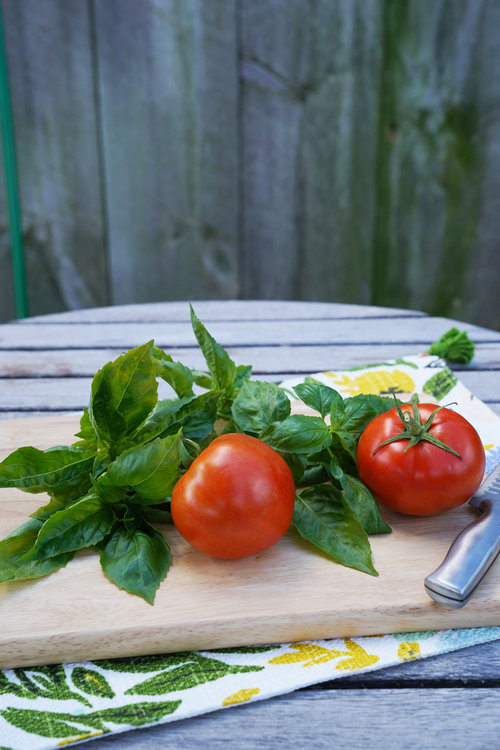 Amazel Basil® and Tempting Tomatoes™ 'Garden Treasure'