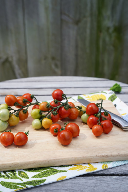 Tempting Tomatoes® Goodhearted®