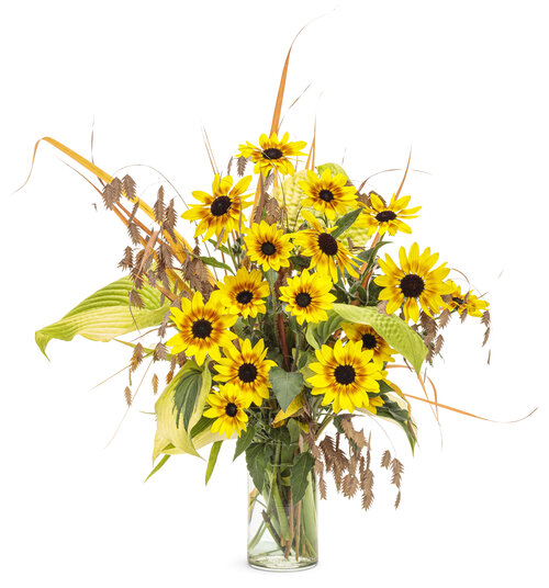 helianthus_suncredible_saturn_cut_flower_arrangement.jpg