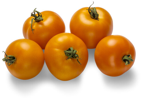 lycopersicon_tempting_tomatoes_bellini_02.jpg