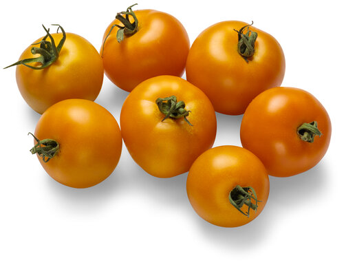 lycopersicon_tempting_tomatoes_bellini_03.jpg