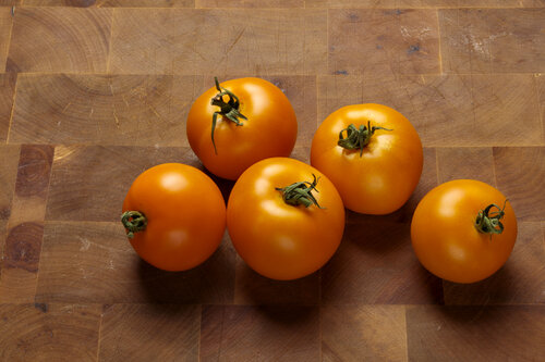 lycopersicon_tempting_tomatoes_bellini_06.jpg