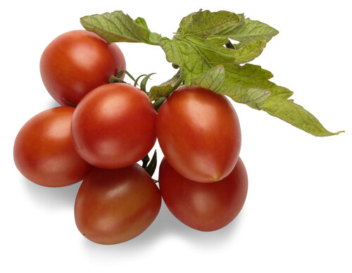 lycopersicon_tempting_tomatoes_garden_gem_macro_01.jpg