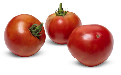 lycopersicon_tempting_tomatoes_garden_treasure_macro_01.jpg